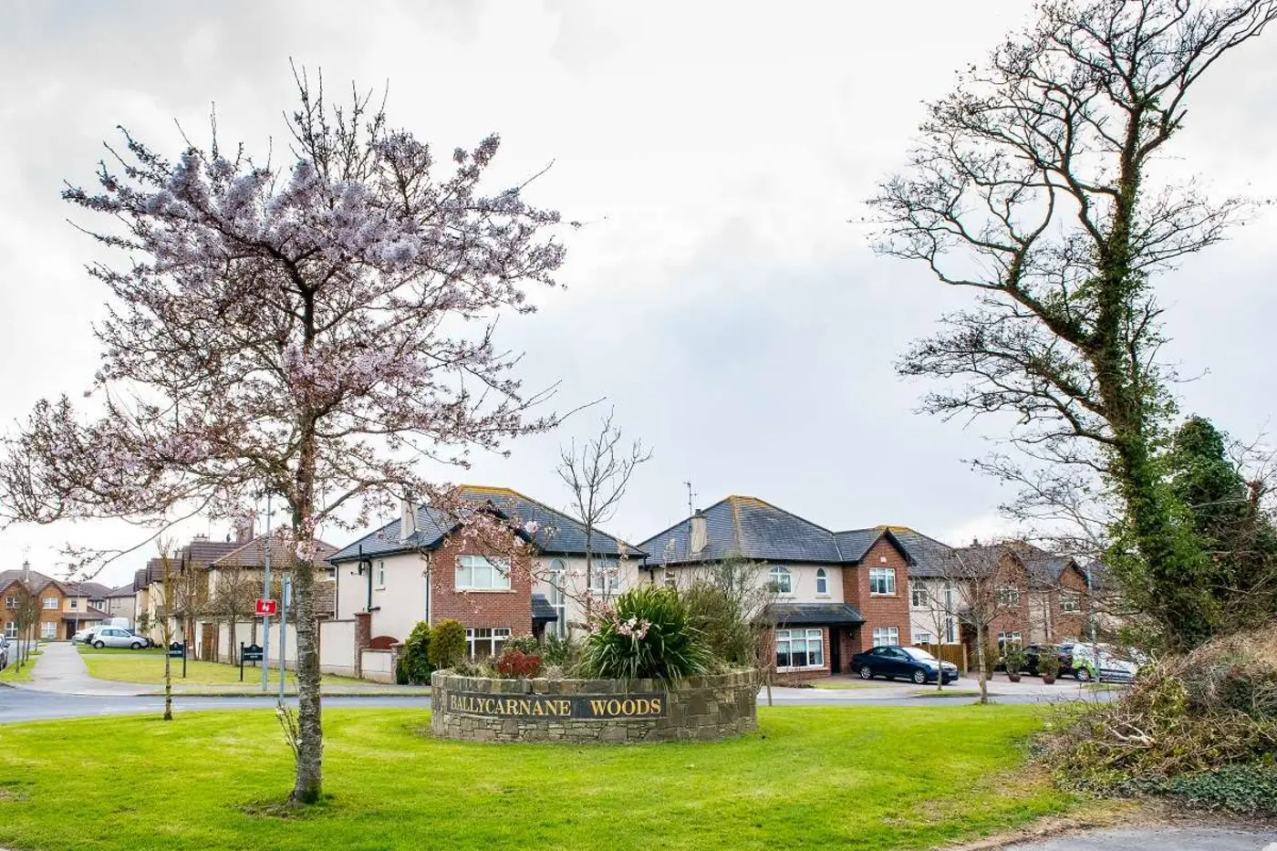 Ballycarnane Woods project by R. McDonald & Sons